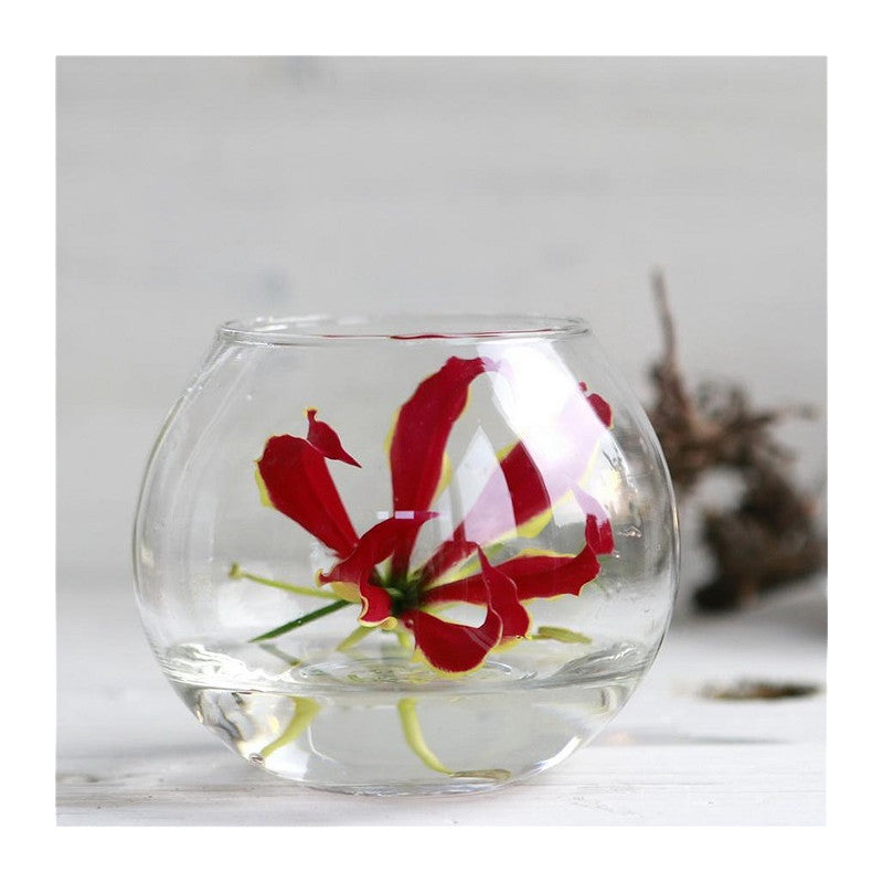 Glass Ball Pot Ø10 h.8cm - 6 pcs