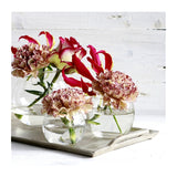 Glass Ball Pot Ø12 h.10cm - 6 pcs