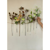 Test Tube Glass Ø3 h.20cm w. ring Ø4 cm - 6 pcs