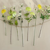 Test Tube Glass Ø4 h.20cm w. ring Ø5 cm - 6 pcs