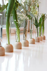 Wooden Base White Test Tube 20x100mm - 1 pc