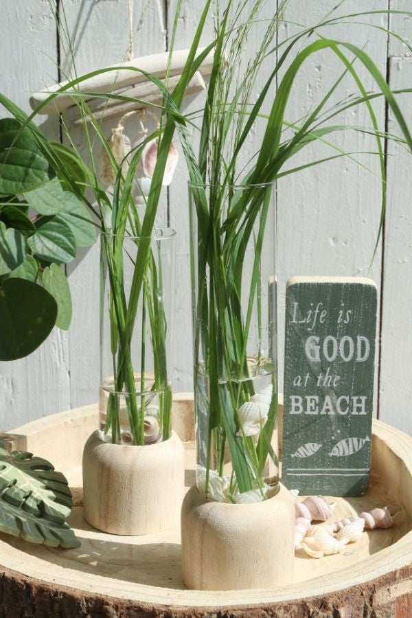 Wooden Base White Test Tube 50x280mm - 1 pc