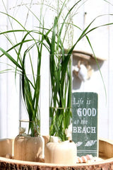 Wooden Base White Test Tube 50x280mm - 1 pc