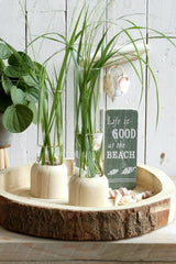 Wooden Base White Test Tube 50x280mm - 1 pc