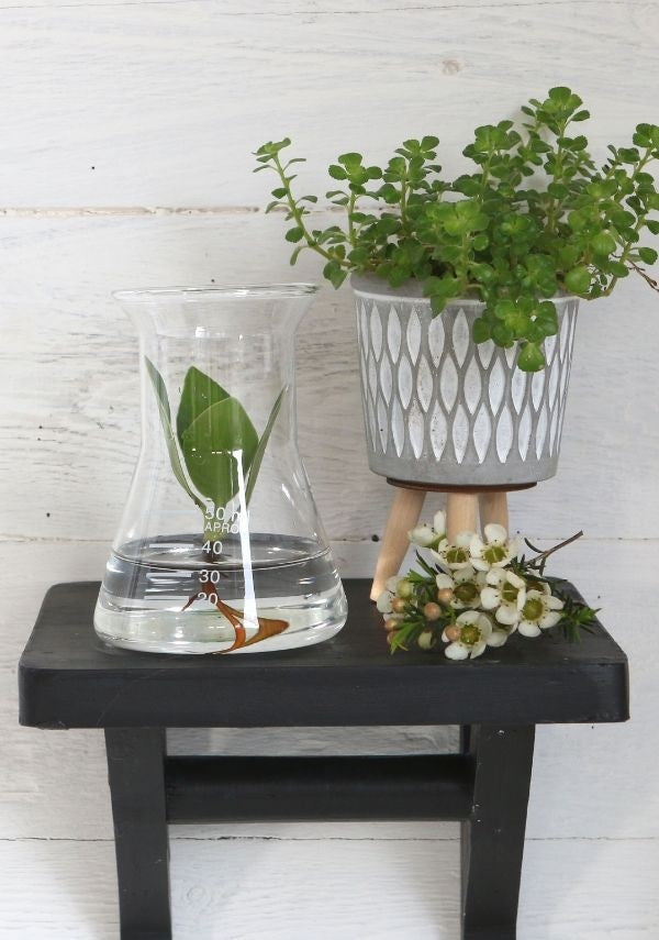 Laboratory Glass Funnel 80x110mm - 1 pc