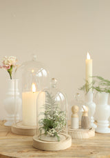 Glass dome with knob and wood base Ø12 h.18 cm - 1 pc