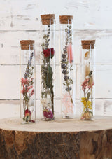 Glass tube with 2 different dried flowers Ø3cm (12 pcs.) [IFS-29343]