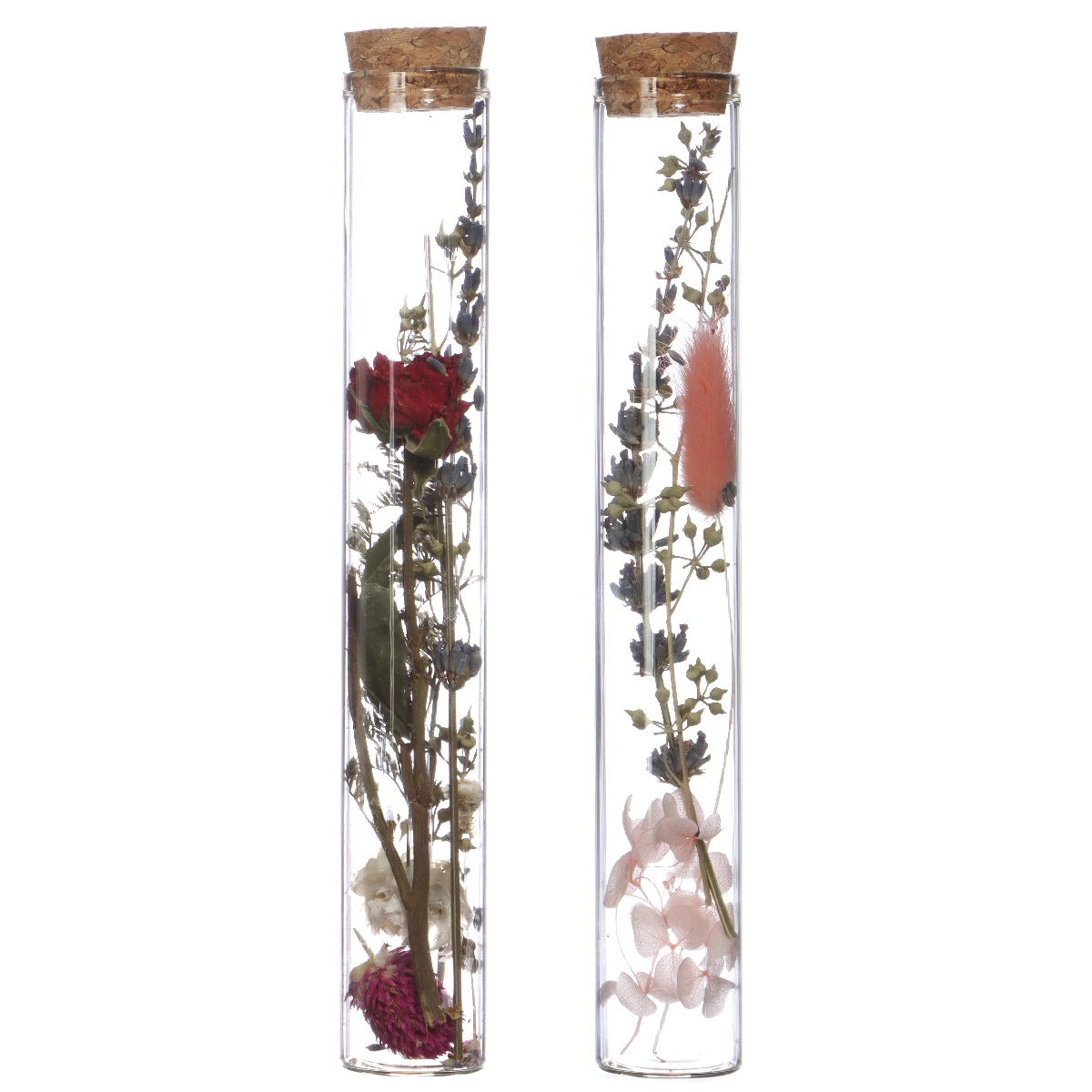 Glass tube with 2 different dried flowers Ø3cm (12 pcs.) [IFS