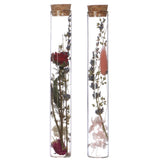 Glass tube with 2 different dried flowers Ø3cm (12 pcs.) [IFS