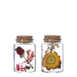Glass tube with 2 different dried flowers Ø4.5cm (12 pcs.) [IFS
