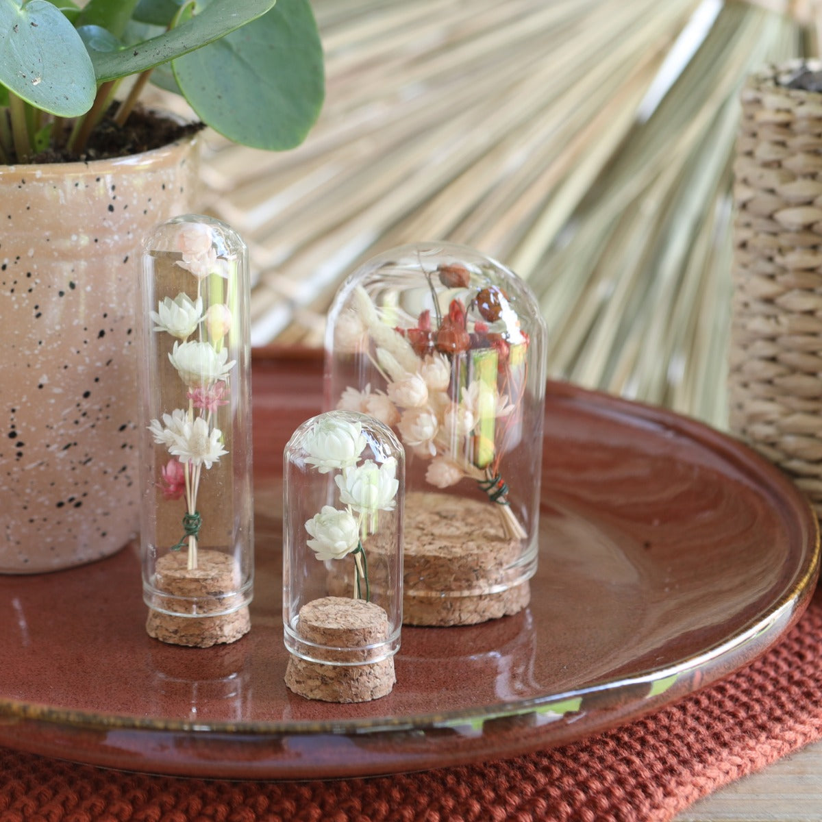 Glass mini Domes Ø2cm and 7cm high with cork - 12 pcs