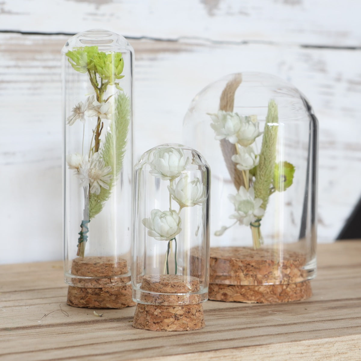 Glass mini Domes Ø2cm and 4cm high with cork - 12 pcs