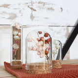 Glass mini Domes Ø2cm and 7cm high with cork - 12 pcs
