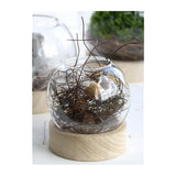 Glass Ball Vase w.Wood Base Ø10 h.11cm - 1 pcs