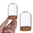 Glass bell Ø6cm and 8cm high with cork (6 pcs.) [IFS