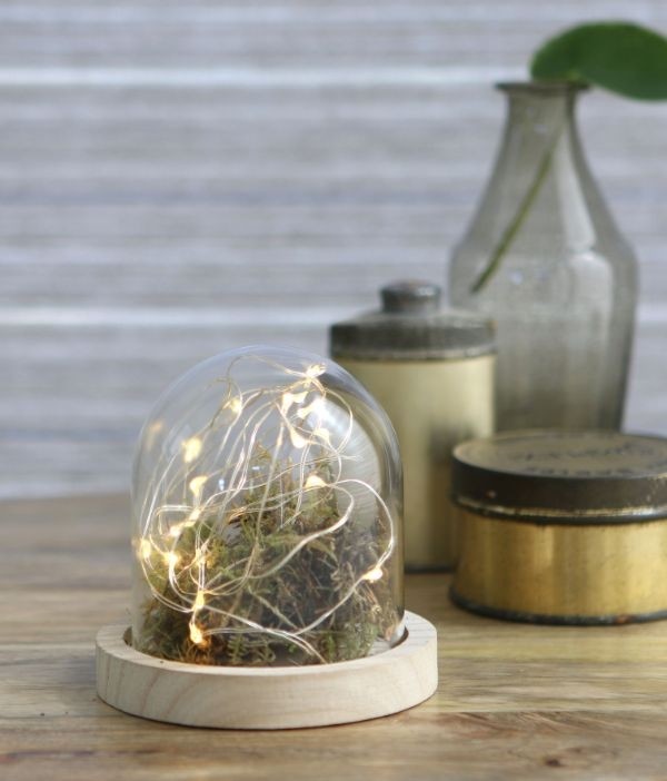 Glass Dome with Wooden Base 100x100mm - 1 pc