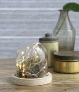 Glass Dome with Wooden Base 100x100mm - 1 pc