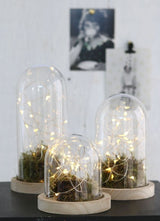 Glass Dome with Wooden Base 120x130mm - 1 pc