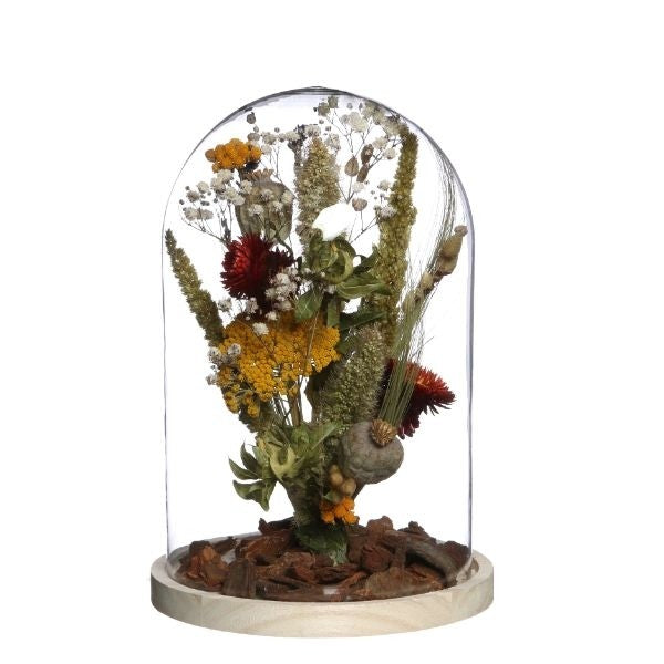 Glass Dome with Wooden Base 170x250mm - 1 pc