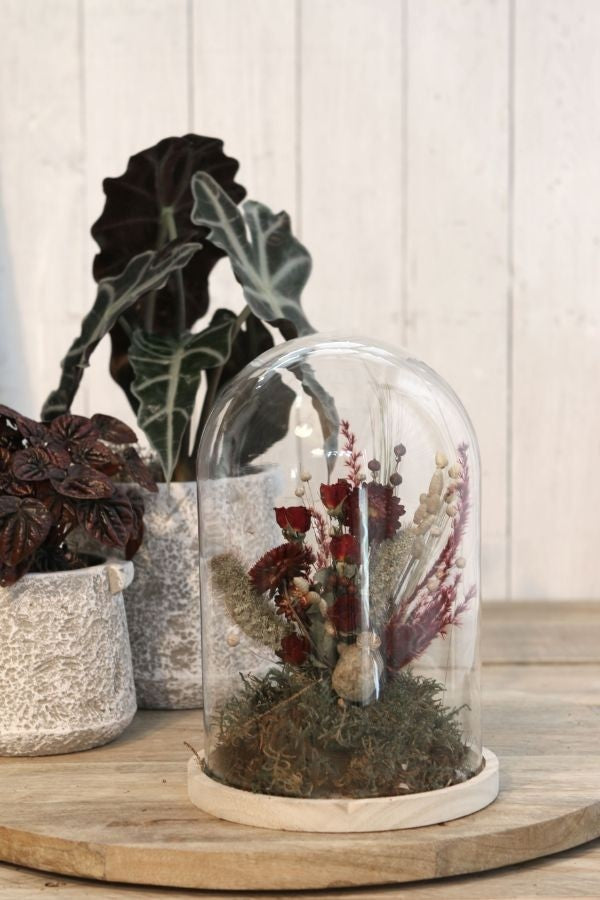 Glass Dome with Wooden Base 170x250mm - 1 pc