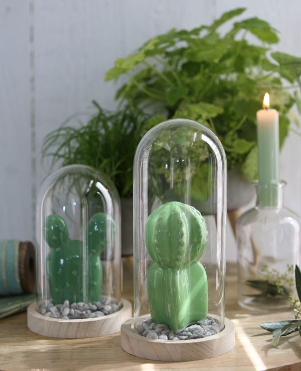 Glass Dome with Wooden Base 100x200mm - 1 pc