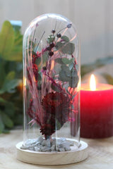 Glass Dome with Wooden Base 100x200mm - 1 pc