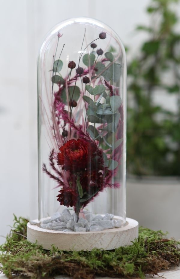 Glass Dome with Wooden Base 100x200mm - 1 pc