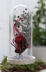 Glass Dome with Wooden Base 100x200mm - 1 pc