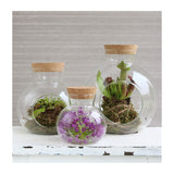 Glass Sphere with Cork Ø10 h.10 cm - 1 pcs