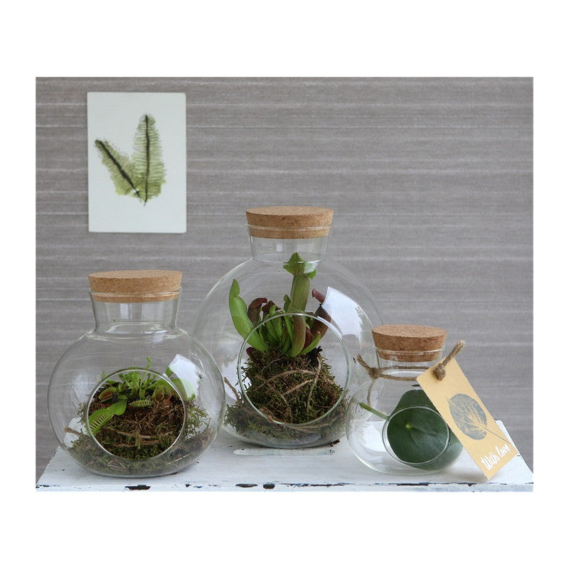 Glass Sphere with Cork Ø10 h.10 cm - 1 pcs