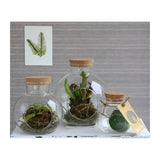 Glass Sphere with Cork Ø10 h.10 cm - 1 pcs