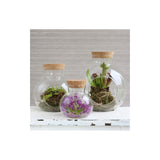Glass Sphere with Cork Ø14 h.15 cm - 1 pcs