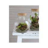 Glass Sphere with Cork Ø14 h.15 cm - 1 pcs