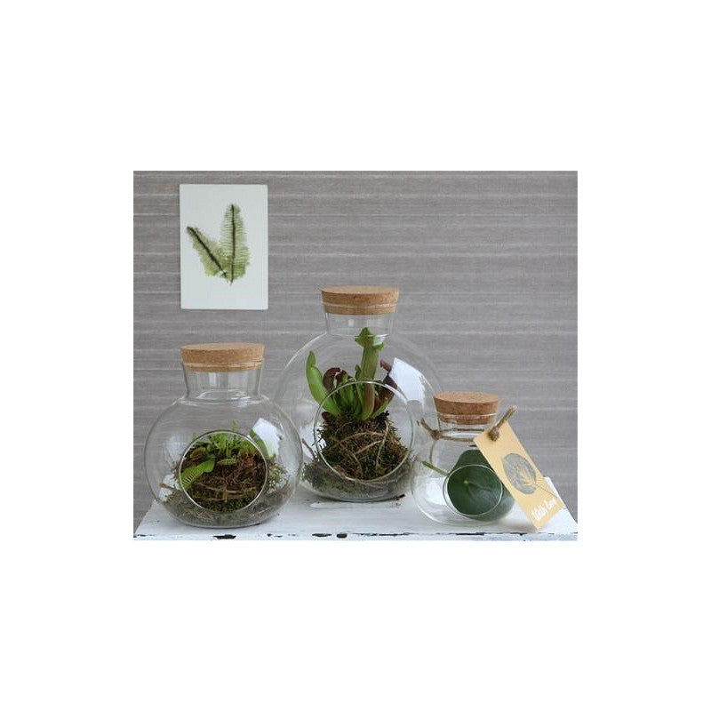 Glass Sphere with Cork Ø14 h.15 cm - 1 pcs