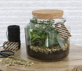 Glass Jar with Cork 150x140mm - 1 pc