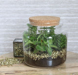 Glass Jar with Cork 150x140mm - 1 pc