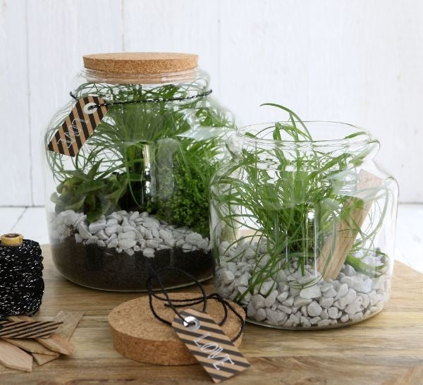 Glass Jar with Cork 150x140mm - 1 pc