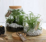 Glass Jar with Cork 150x140mm - 1 pc