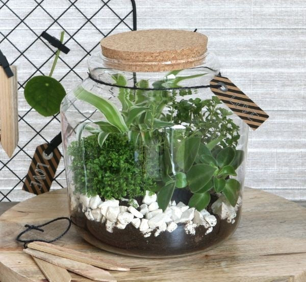 Glass Jar with Cork 180x180mm - 1 pc