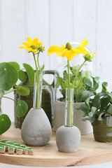 Cement Base with Glass Test Tube 60x150mm - 1 pc