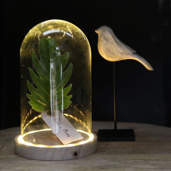 Glass Dome with LED, wooden base Ø14cm - 1 pc