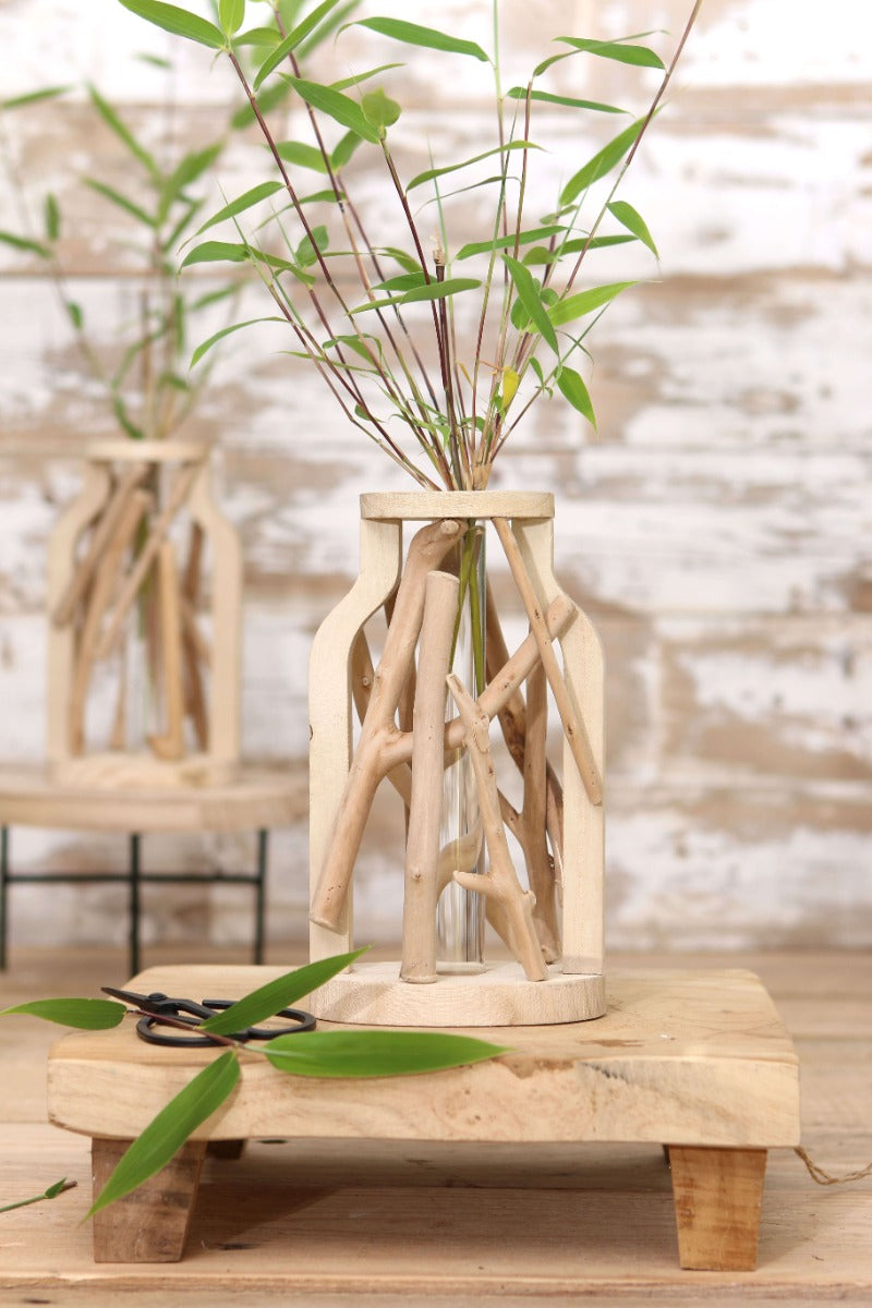 Test tube with stand of driftwood medium (1 pcs.) [IFS-29647]