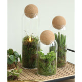 Glass Terrarium Sienna Ø8,5 h.24 cm - 6 pcs