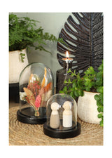 Glass bell jar with black wooden base Ø10cm H. 10 cm - 1 pc