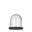 Glass bell jar with black wooden base Ø12cm H.13cm 
