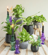 Vase Venice Green H: 155 x Ø57 mm - 12 Pcs