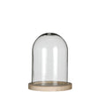 Glass Dome with Wooden Base 120x160mm 