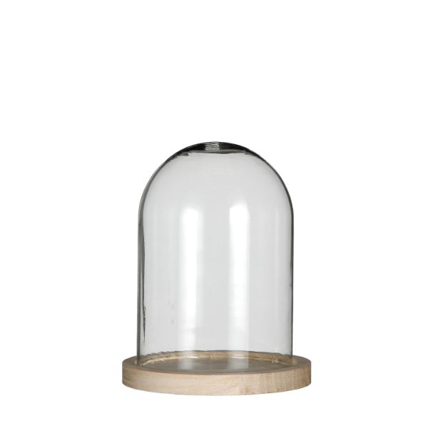 Glass Dome with Wooden Base 120x160mm 