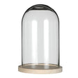 Glass Dome with Wooden Base 170x250mm 
