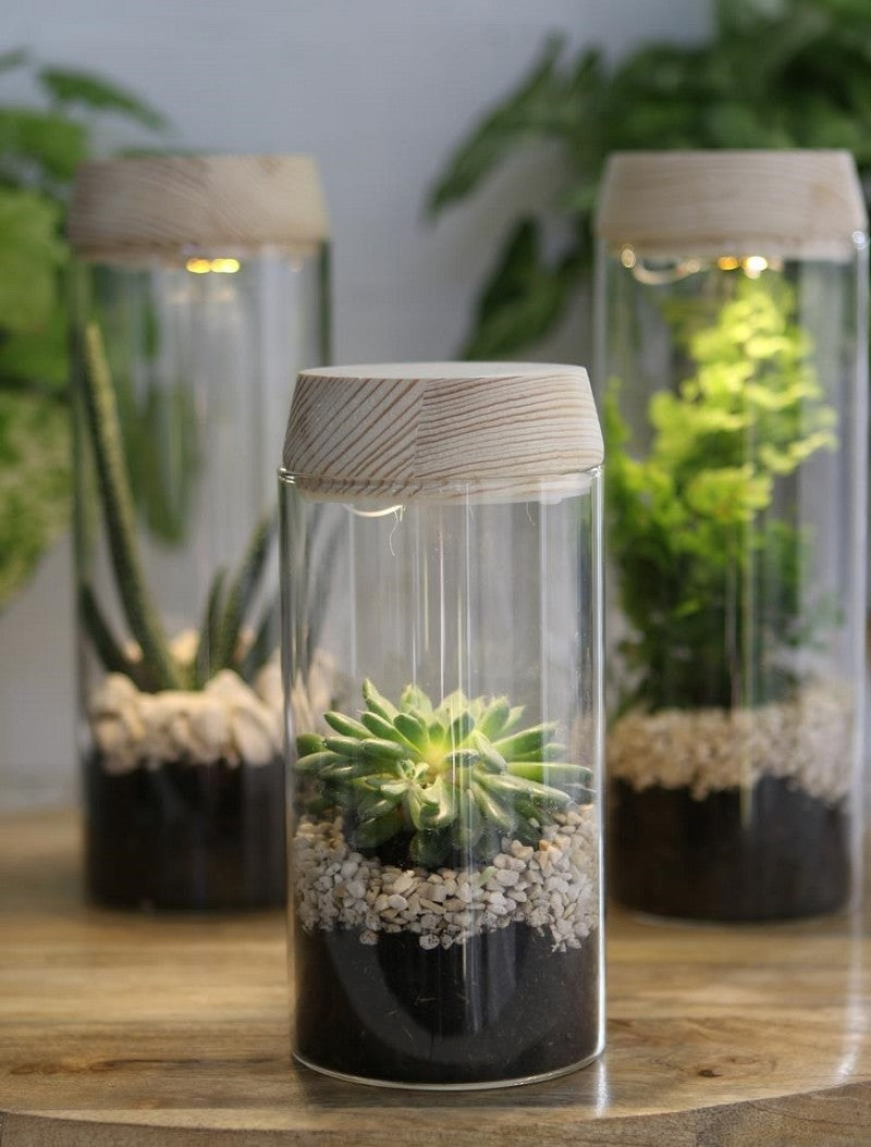 Test tube Ø80 h: 180 mm w. solar cork lid - 1 pc